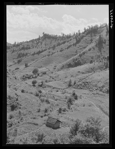 Homes with gardens, patches of tobacco and corn in mountain section near Hyden, Kentucky