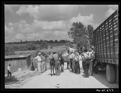 Farmers trading mules and horses on "Jockey Street" in Campton, Kentucky