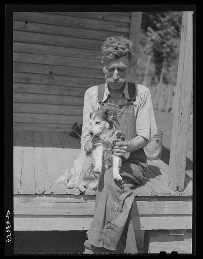 Mountaineer who reared his grandson in his home with the help of the neighbors. He had been crippled with arthritis most of his life. On the steps of a schoolhouse with his dog on South Fork of Kentucky River. Breathitt County, Kentucky