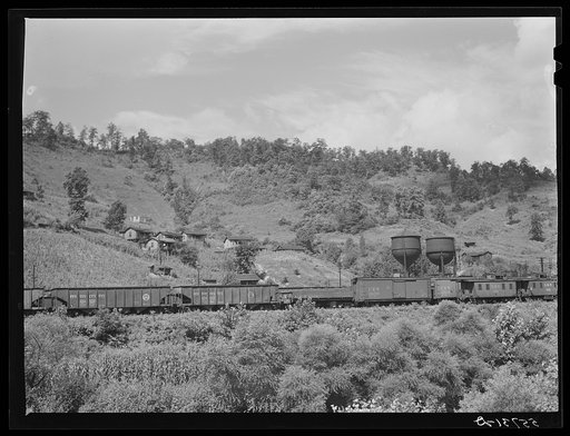Coal cars near Chavies, Kentucky