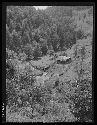Homes with gardens, patches of tobacco and corn in mountain section near Hyden, Kentucky