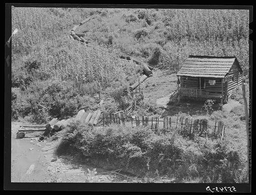 Logging is one of the few sources of income to mountaineers. This cabin with the cornfield above it is near Hyden, Kentucky