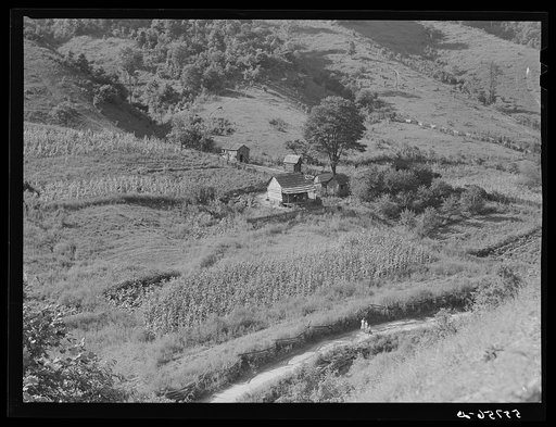General landscape near Hyden, Kentucky, showing mountain cabins, sheds and cornfields