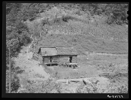 Logging is one of the few sources of income to mountaineers. This cabin with the cornfield above it is near Hyden, Kentucky