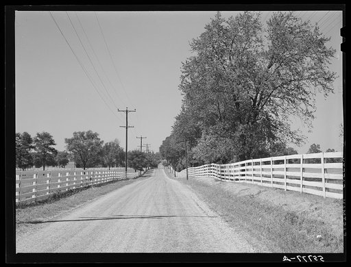 Highway in bluegrass section near Lexington, Kentucky