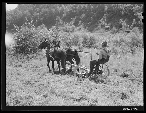 Mr. Back, FSA (Farm Security Administration) borrower, with his mowing machine which he purchased through a community cooperative FSA loan. Noctor, Breathitt County, Kentucky. See general caption number two