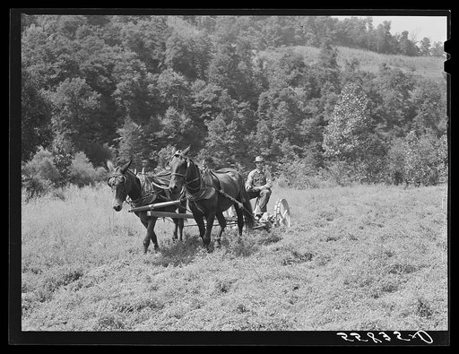 Mr. Back, FSA (Farm Security Administration) borrower, with his new mowing maching which he purchased through a community cooperative FSA. Noctor, Breathitt County, Kentucky. See general caption number two