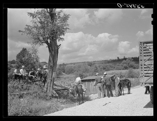 Farmers trading mules and horses on "Jockey Street" in Campton, Kentucky