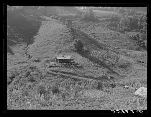 Homes with gardens, patches of tobacco and corn in mountain section near Hyden, Kentucky