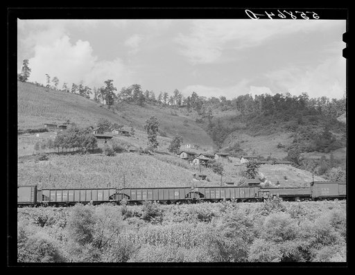 Coal cars near Chavies, Kentucky