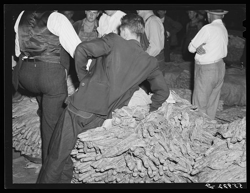 Farmer waiting to sell his tobacco at auction in warehouse. Danville, Virginia