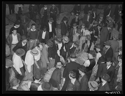 Auction sale in tobacco warehouse, Danville, Virginia