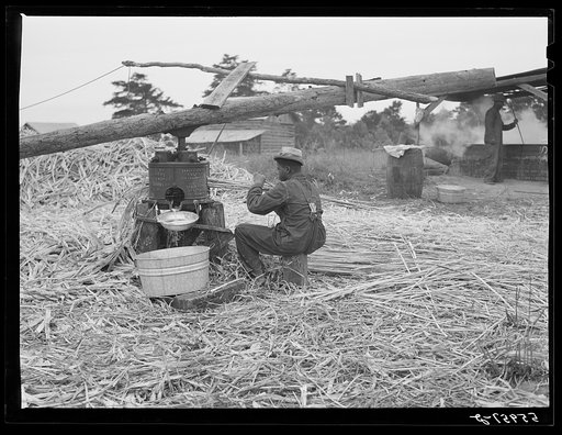 Making sorghum syrup in Caswell County, North Carolina