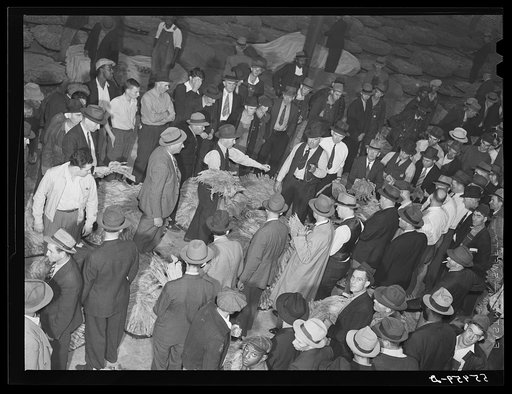 Tobacco auction in warehouse in Danville, Virginia where many Caswell County farmers sell their tobacco at auction. North Carolina