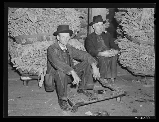 Farmer waiting to sell his tobacco at auction in warehouse. Danville, Virginia