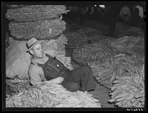 Farmer waiting to sell his tobacco at auction in warehouse in Danville, Virginia