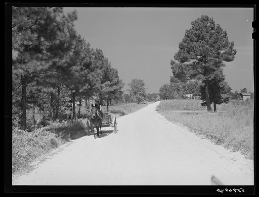 Negro driving wagon along country road to store on Saturday. Near Farrington, Chatham County, North Carolina