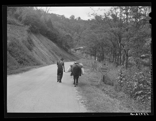 Mountaineer taking home groceries and supplies purchased in town. Eastern Kentucky