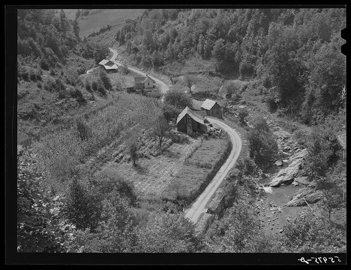 Untitled photo, possibly related to: Mountain homes along creek showing tobacco patch and corn field in Eastern Kentucky