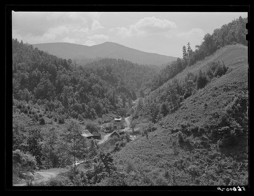 Untitled photo, possibly related to: Mountain homes along creek showing tobacco patch and corn field in Eastern Kentucky