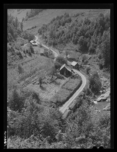 Untitled photo, possibly related to: Mountain homes along creek showing tobacco patch and corn field in Eastern Kentucky