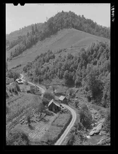 Untitled photo, possibly related to: Mountain homes along creek showing tobacco patch and corn field in Eastern Kentucky
