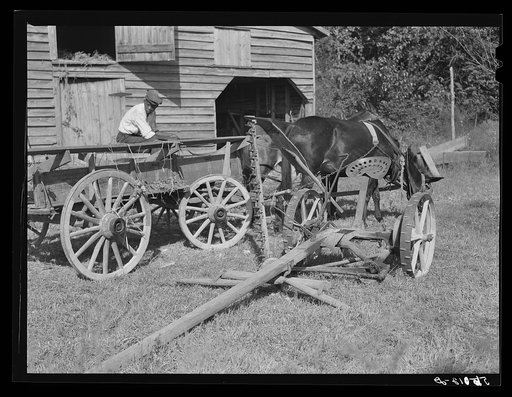 Untitled photo, possibly related to: Negro helper with wagon in front of J.V. Harris' barn, nine miles south of Chapel Hill on Highway 15. Chatham County, North Carolina