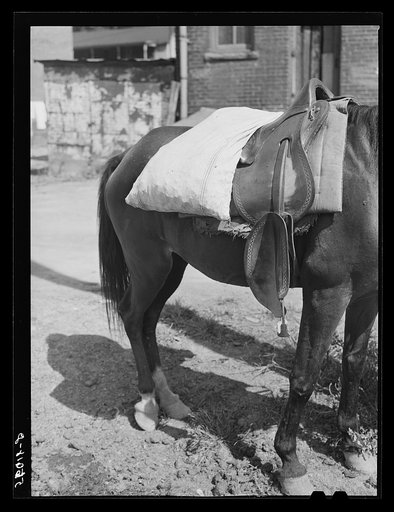 Mountain people bring garden produce to town to peddle and trade for other necessities. Jackson, Breathitt County, Kentucky