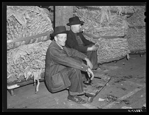 Farmer waiting to sell his tobacco at auction in warehouse. Danville, Virginia