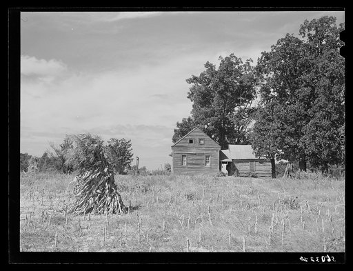 Home and separate kitchen lean-to of Negro tenant. Caswell County, North Carolina
