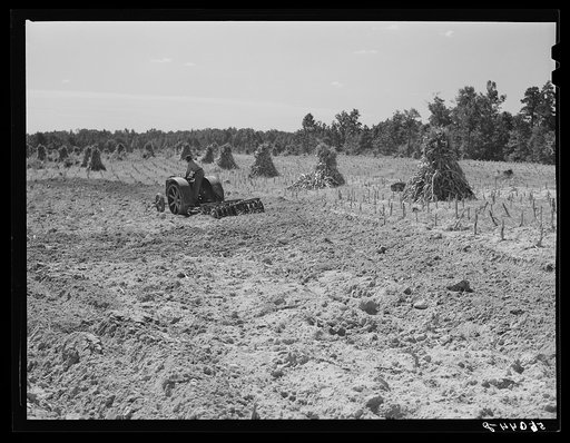 Untitled photo, possibly related to: CCC (Civilian Conservation Corps) boys seeding and preparing a meadow strip for terrace outlet on property of FSA (Farm Security Administration) borrower E.O. Foster. Caswell County, North Carolina