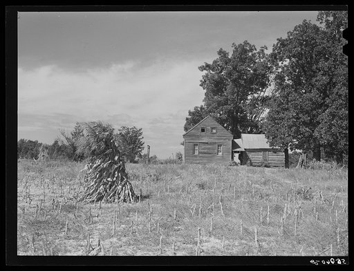 Untitled photo, possibly related to: Home and separate kitchen lean-to of Negro tenant. Caswell County, North Carolina
