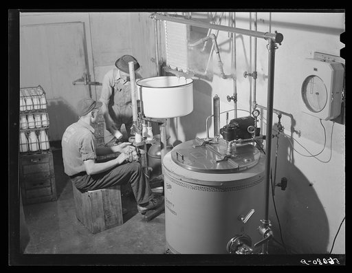 Pasteurizing and bottling milk in the Caswell Dairy, owned and operated by E.O. Foster, FSA (Farm Security Administration) borrower in Caswell County, North Carolina