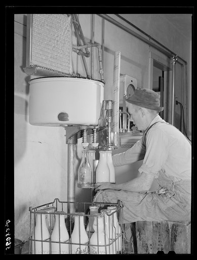 Untitled photo, possibly related to: E.O. Foster's son bottling milk in their Caswell Dairy pasteurizing plant. He is a FSA (Farm Security Administration) tenant purchase borrower. Caswell County, North Carolina