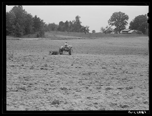 Untitled photo, possibly related to: Emery Hooper, discing neighbor's land in preparation for planting fall wheat with equipment purchased with a FSA (Farm Security Administration) co-operative community service loan. Caswell County, North Carolina