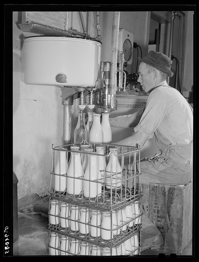 E.O. Foster's son bottling milk in their Caswell Dairy pasteurizing plant. He is a FSA (Farm Security Administration) tenant purchase borrower. Caswell County, North Carolina