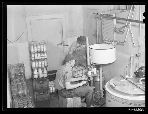 Pasteurizing and bottling milk in the Caswell dairy, owned and operated by E.O. Foster, FSA (Farm Security Administration) borrower in Caswell County, North Carolina