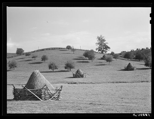 Landscape in North Carolina