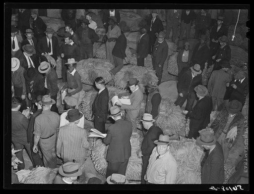 Tobacco auction in warehouse in Danville, Virginia, where many Caswell County farmers sell their tobacco at auction
