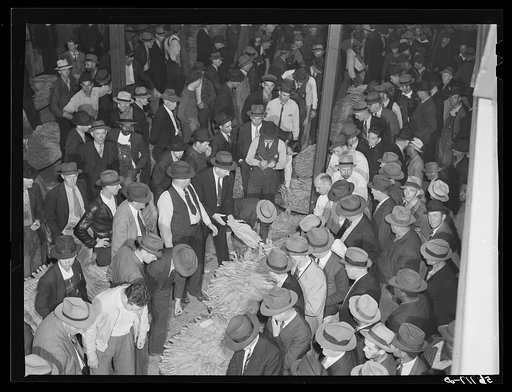 Tobacco auction in warehouse in Danville, Virginia, where many Caswell County farmers sell their tobacco at auction