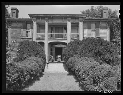 Old Thompson residence with boxwood, near Milton. Caswell County, North Carolina