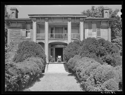 Untitled photo, possibly related to: Old Thompson residence with boxwood, near Milton. Caswell County, North Carolina