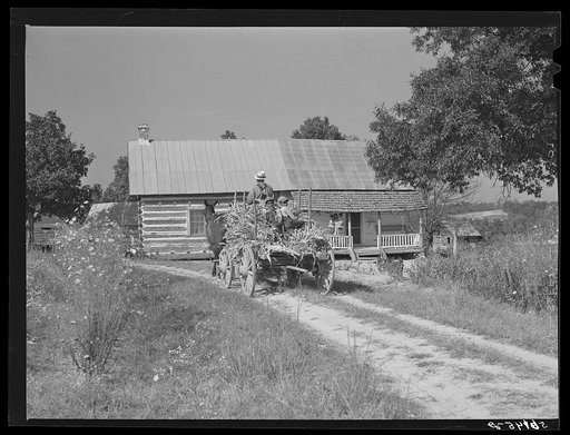Untitled photo, possibly related to: Family of FSA (Farm Security Administration) borrower bringing in wagon load of corn stalks for fodder. Caswell County, North Carolina