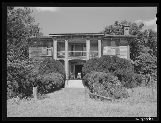 Old Thompson residence with boxwood near Milton, Caswell County, North Carolina