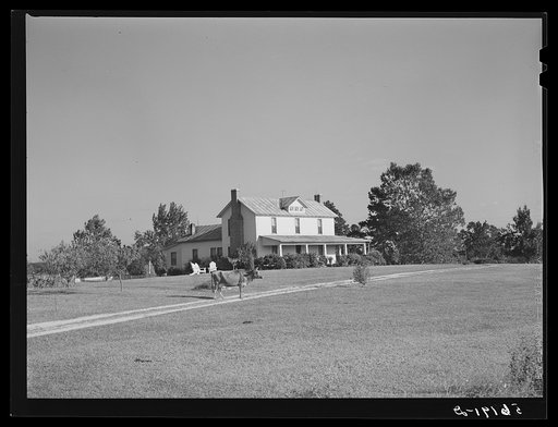 Untitled photo, possibly related to: Property of Murphy, white homeowner in Caswell County, North Carolina