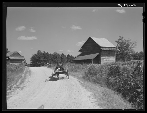 Wagon with stocks of meal on road in Corbett Ridge section. Caswell County, North Carolina