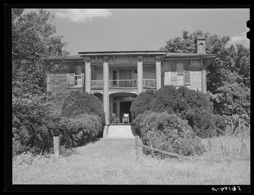 Untitled photo, possibly related to: Old Thompson residence with boxwood near Milton, Caswell County, North Carolina