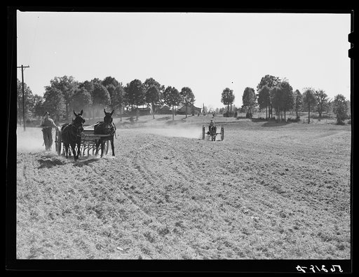 Plowing. Caswell County, North Carolina