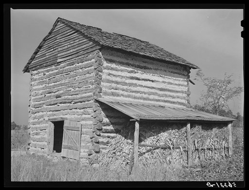 Tobacco barn with corn stalks stored under its shed for winter fodder near Prospect Hill. Caswell County, North Carolina
