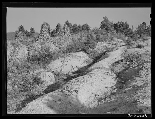 Soil erosion gullies on farm in Caswell County, North Carolina